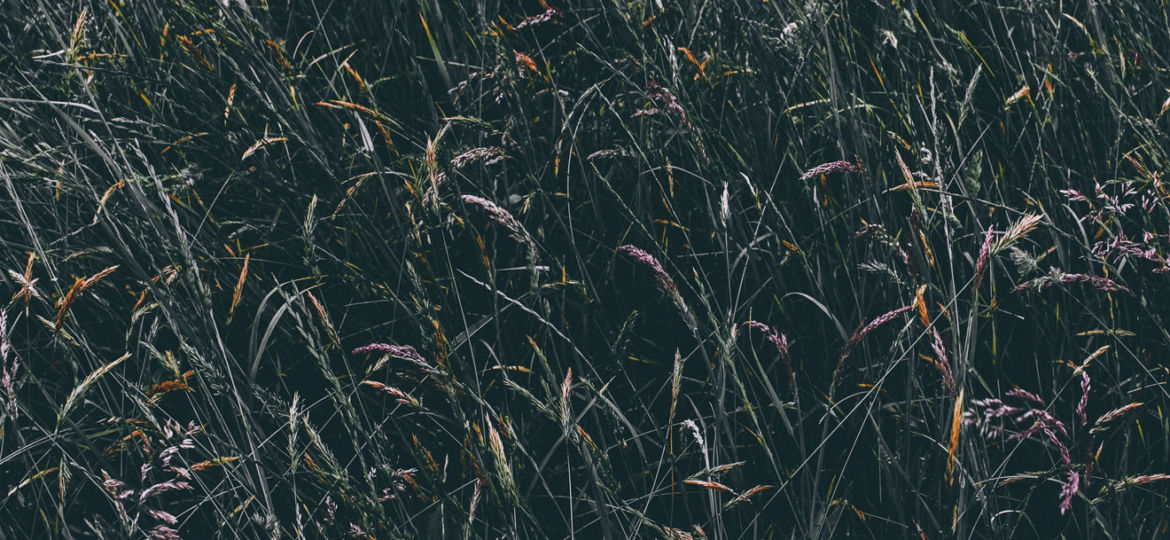 blocks-image-194 (Demo)